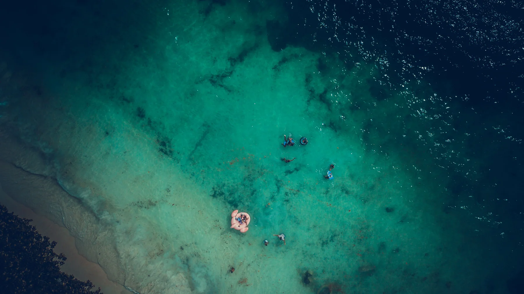 Sunlight over a Seychelles shoreline