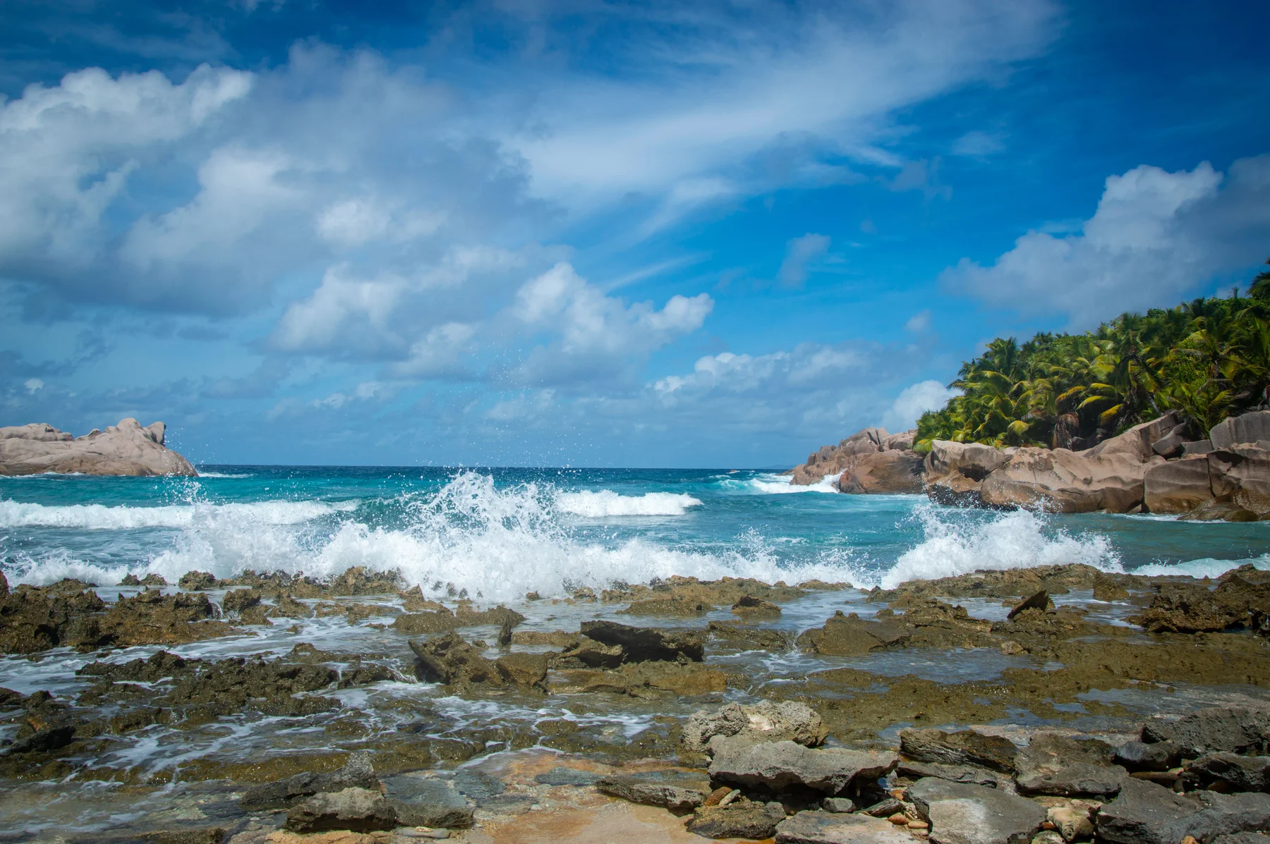 Granite rocks along a Seychelles shoreline