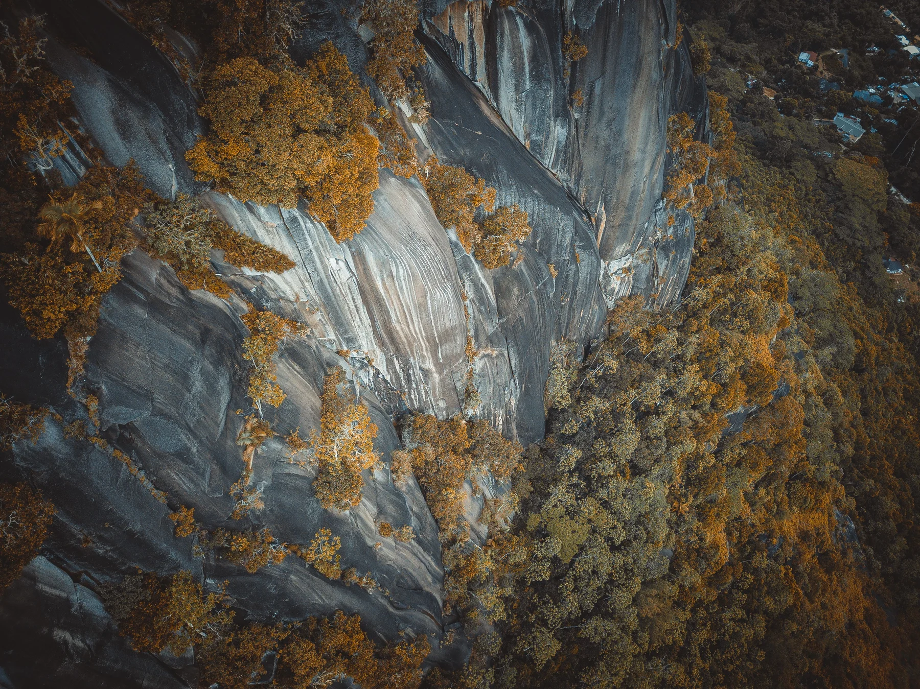 Rock face and vegetation in the Seychelles landscape