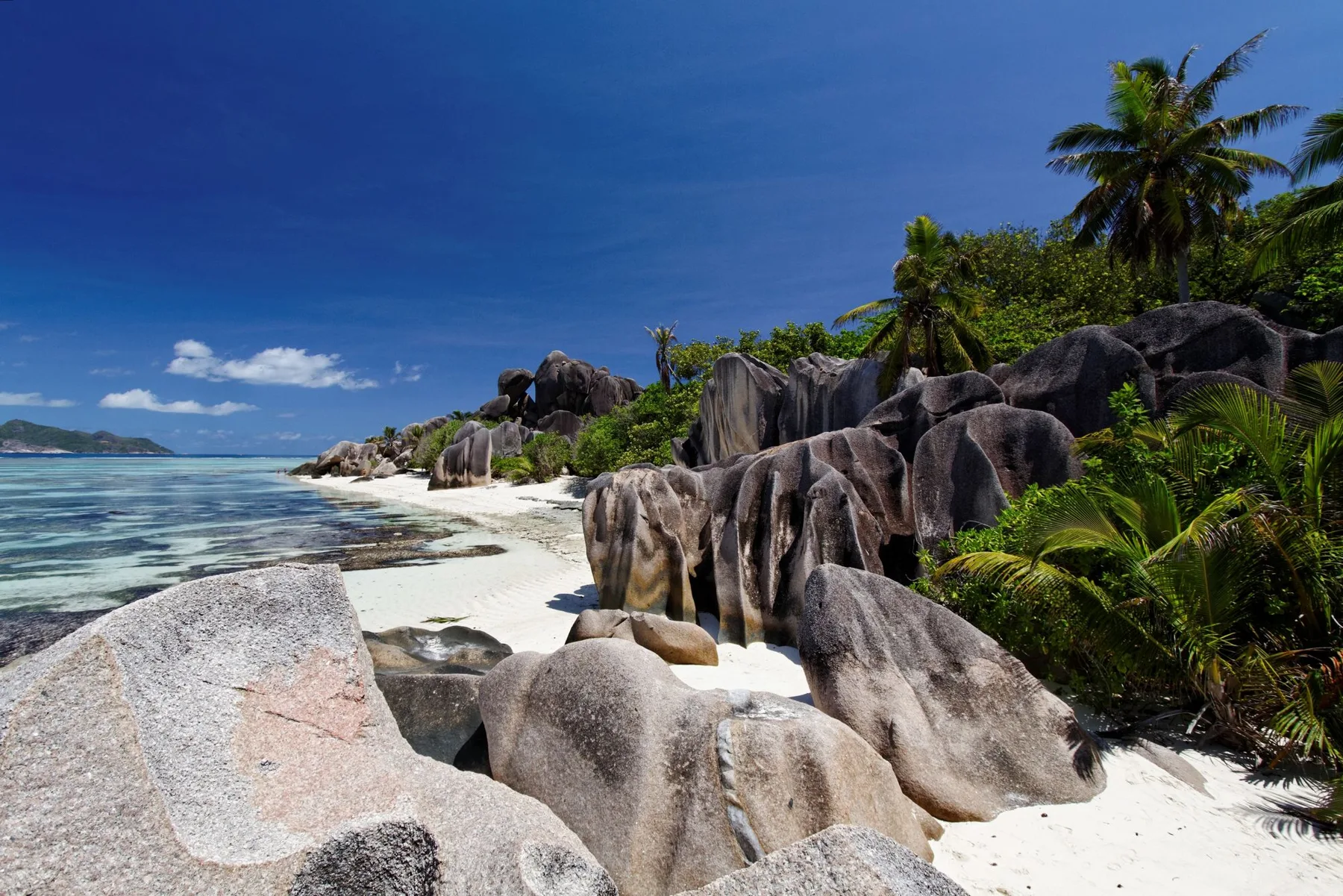 Granite boulders and palm trees beside a white beach