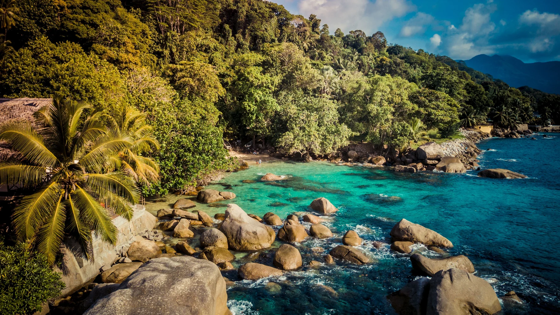 Palme accanto alla baia turchese di Beau Vallon, a Mahé