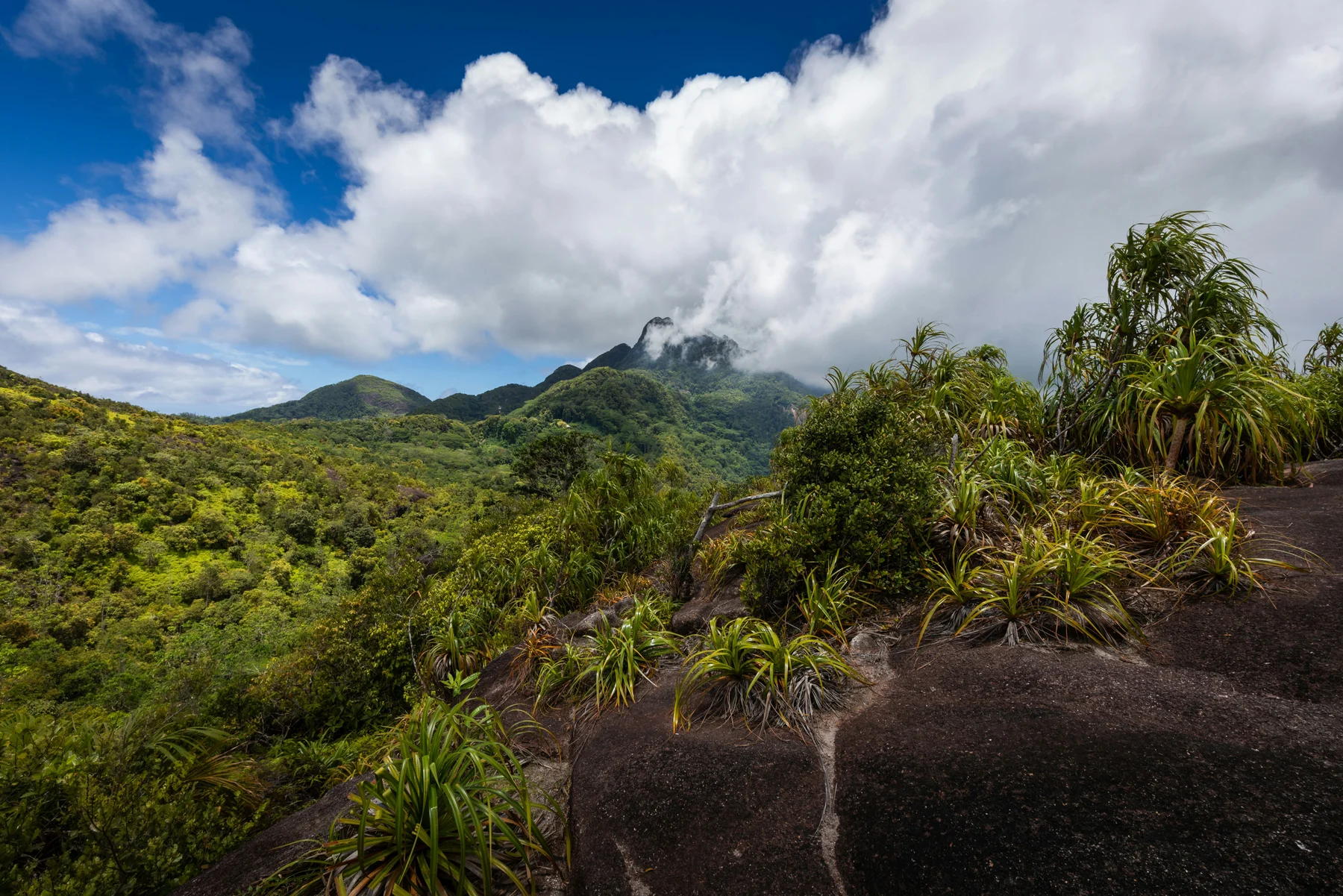 Grüne Bergkämme auf den Seychellen