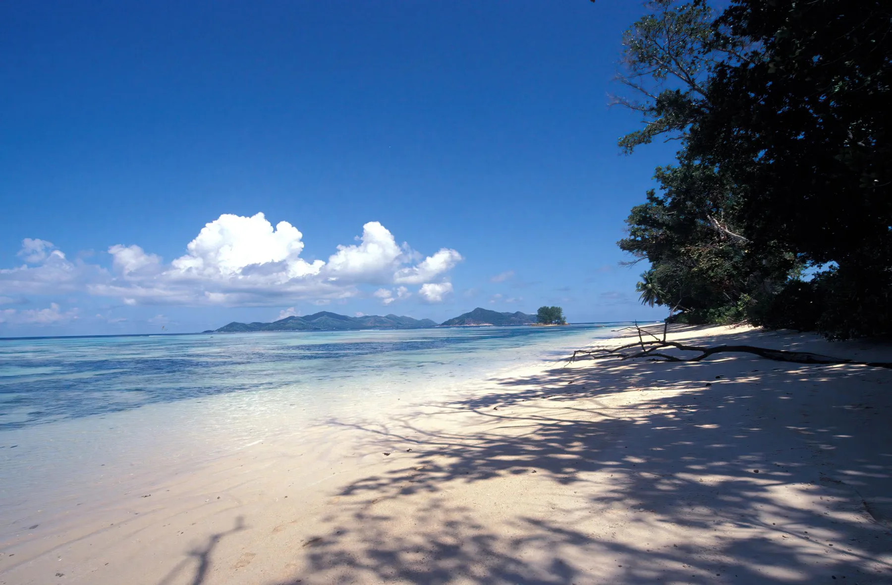 A quiet white sand beach with shade trees and islands on the horizon
