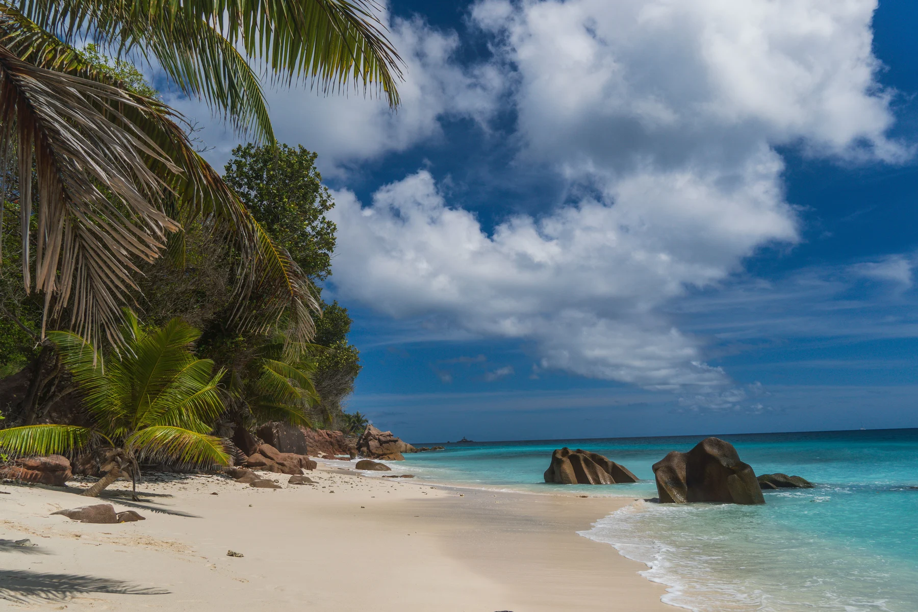 Palmen und Granit an einem Strand auf den Seychellen